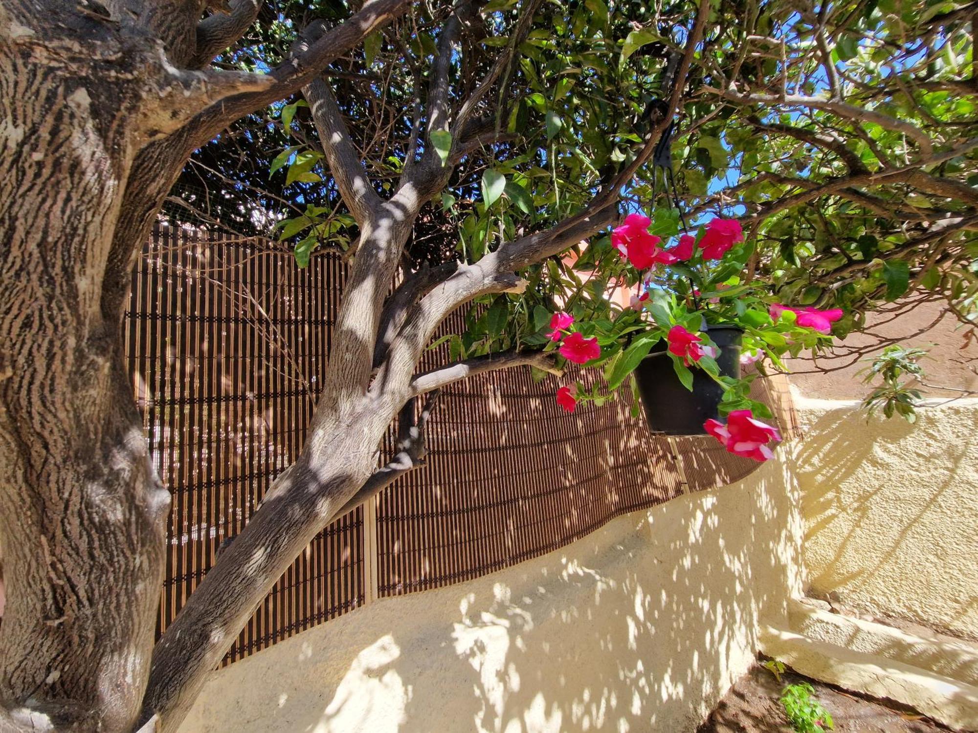La Maddalena Holiday Home Kültér fotó